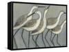 Shore Birds II-Norman Wyatt Jr.-Framed Stretched Canvas