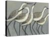 Shore Birds II-Norman Wyatt Jr.-Stretched Canvas