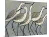 Shore Birds II-Norman Wyatt Jr.-Mounted Premium Giclee Print