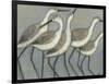 Shore Birds II-Norman Wyatt Jr.-Framed Art Print