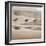 Shore Birds II-Danita Delimont-Framed Photo