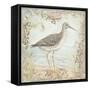 Shore Birds III-Kate McRostie-Framed Stretched Canvas