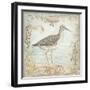 Shore Birds III-Kate McRostie-Framed Art Print