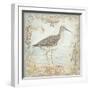 Shore Birds III-Kate McRostie-Framed Art Print