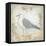 Shore Birds IV-Kate McRostie-Framed Stretched Canvas