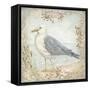 Shore Birds IV-Kate McRostie-Framed Stretched Canvas