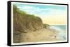 Shore, Cape Cod, Mass.-null-Framed Stretched Canvas