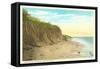 Shore, Cape Cod, Mass.-null-Framed Stretched Canvas