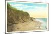 Shore, Cape Cod, Mass.-null-Mounted Art Print