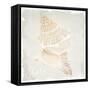 Shore Coast 1-Kimberly Allen-Framed Stretched Canvas