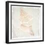 Shore Coast 1-Kimberly Allen-Framed Art Print