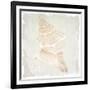 Shore Coast 1-Kimberly Allen-Framed Art Print