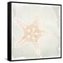 Shore Coast 2-Kimberly Allen-Framed Stretched Canvas