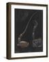 Shore Crab: Carcinus-Philip Henry Gosse-Framed Giclee Print