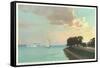 Shore Drive, Belle Isle, Detroit, Michigan-null-Framed Stretched Canvas