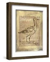 Shore Life II-Fiona Stokes-Gilbert-Framed Giclee Print