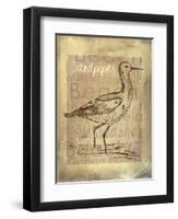 Shore Life II-Fiona Stokes-Gilbert-Framed Giclee Print