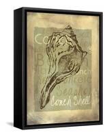 Shore Life III-Fiona Stokes-Gilbert-Framed Stretched Canvas