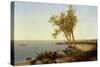 Shore Line in Summer-John Frederick Kensett-Stretched Canvas