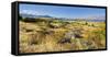 Shore of the Lake Tekapo, Canterbury, South Island, New Zealand-Rainer Mirau-Framed Stretched Canvas