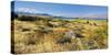 Shore of the Lake Tekapo, Canterbury, South Island, New Zealand-Rainer Mirau-Stretched Canvas