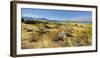 Shore of the Lake Tekapo, Canterbury, South Island, New Zealand-Rainer Mirau-Framed Photographic Print