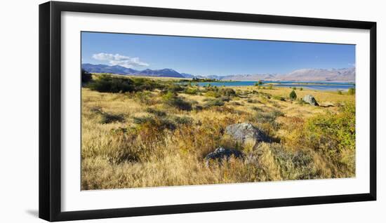 Shore of the Lake Tekapo, Canterbury, South Island, New Zealand-Rainer Mirau-Framed Photographic Print