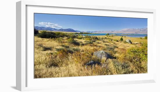 Shore of the Lake Tekapo, Canterbury, South Island, New Zealand-Rainer Mirau-Framed Photographic Print