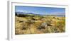 Shore of the Lake Tekapo, Canterbury, South Island, New Zealand-Rainer Mirau-Framed Photographic Print