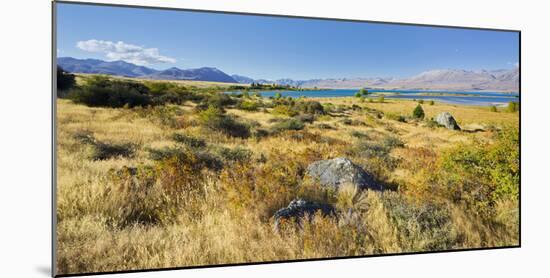 Shore of the Lake Tekapo, Canterbury, South Island, New Zealand-Rainer Mirau-Mounted Photographic Print