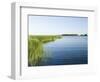 Shore Of The Peenestrom In The Usedomer Schweiz, Island Of Usedom. Germany-Martin Zwick-Framed Photographic Print