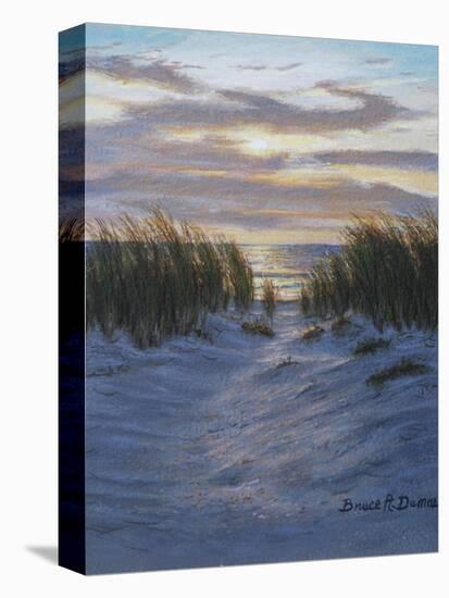 Shore Path-Bruce Dumas-Stretched Canvas