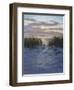 Shore Path-Bruce Dumas-Framed Giclee Print