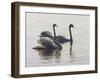 Shore Patrol-Bruce Dumas-Framed Giclee Print