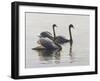 Shore Patrol-Bruce Dumas-Framed Giclee Print