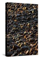 Shore Stones-Steve Gadomski-Stretched Canvas