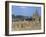 Shore Temple at Mahabalipuram, Unesco World Heritage Site, Chennai, Tamil Nadu, India-Occidor Ltd-Framed Photographic Print