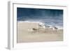 Shorebirds on Sand I Blue-Danhui Nai-Framed Art Print