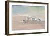 Shorebirds on the Sand I-Danhui Nai-Framed Art Print