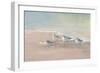 Shorebirds on the Sand I-Danhui Nai-Framed Art Print