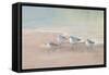 Shorebirds on the Sand I-Danhui Nai-Framed Stretched Canvas