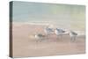 Shorebirds on the Sand I-Danhui Nai-Stretched Canvas