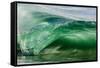 Shorebreak wave, Shelly Beach, Caloundra, Sunshine Coast, Queensland, Australia-Mark A Johnson-Framed Stretched Canvas