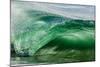 Shorebreak wave, Shelly Beach, Caloundra, Sunshine Coast, Queensland, Australia-Mark A Johnson-Mounted Photographic Print