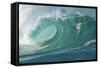 Shorebreak Waves in Waimea Bay-Rick Doyle-Framed Stretched Canvas