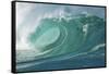 Shorebreak Waves in Waimea Bay-Rick Doyle-Framed Stretched Canvas