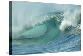 Shorebreak Waves in Waimea Bay-Rick Doyle-Stretched Canvas