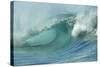 Shorebreak Waves in Waimea Bay-Rick Doyle-Stretched Canvas