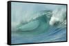 Shorebreak Waves in Waimea Bay-Rick Doyle-Framed Stretched Canvas