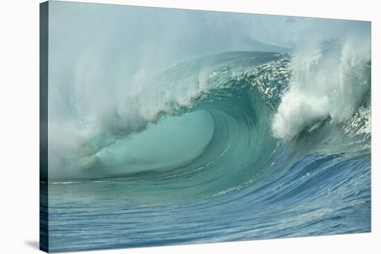Shorebreak Waves in Waimea Bay-Rick Doyle-Stretched Canvas